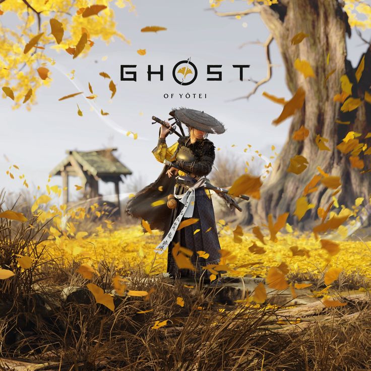 اکانت ظرفیت سه GHOST OF YOTEI